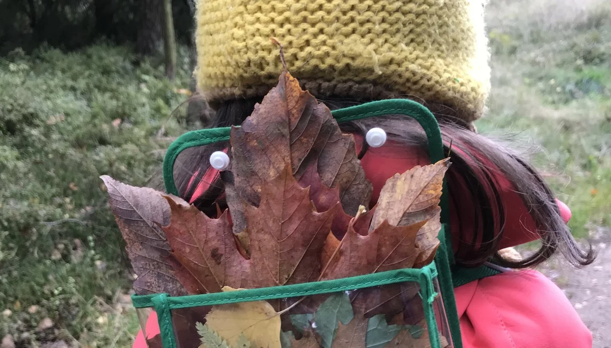 Herbstlaub im Rucksack | © J. Breidenstein