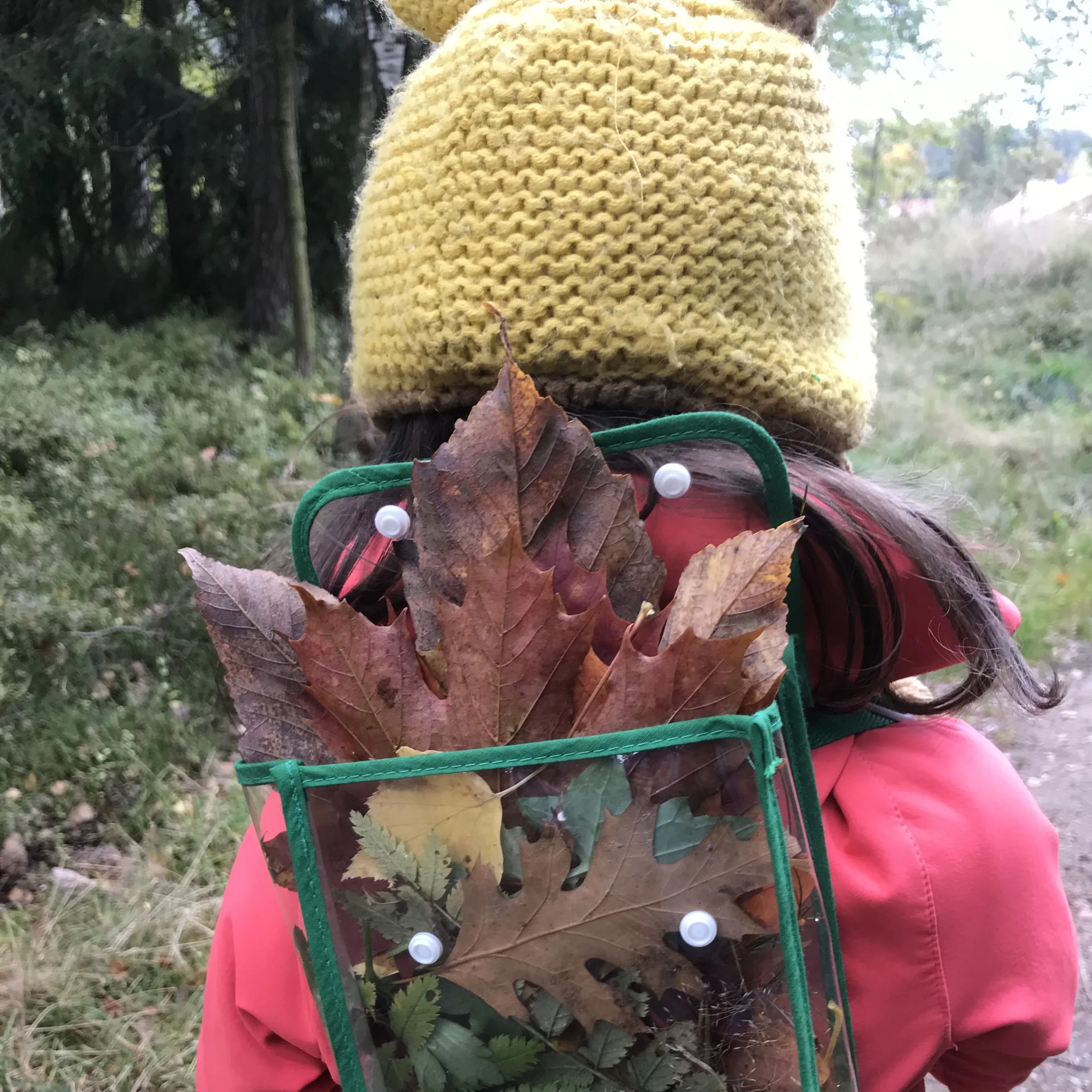 Herbstlaub im Rucksack | © J. Breidenstein