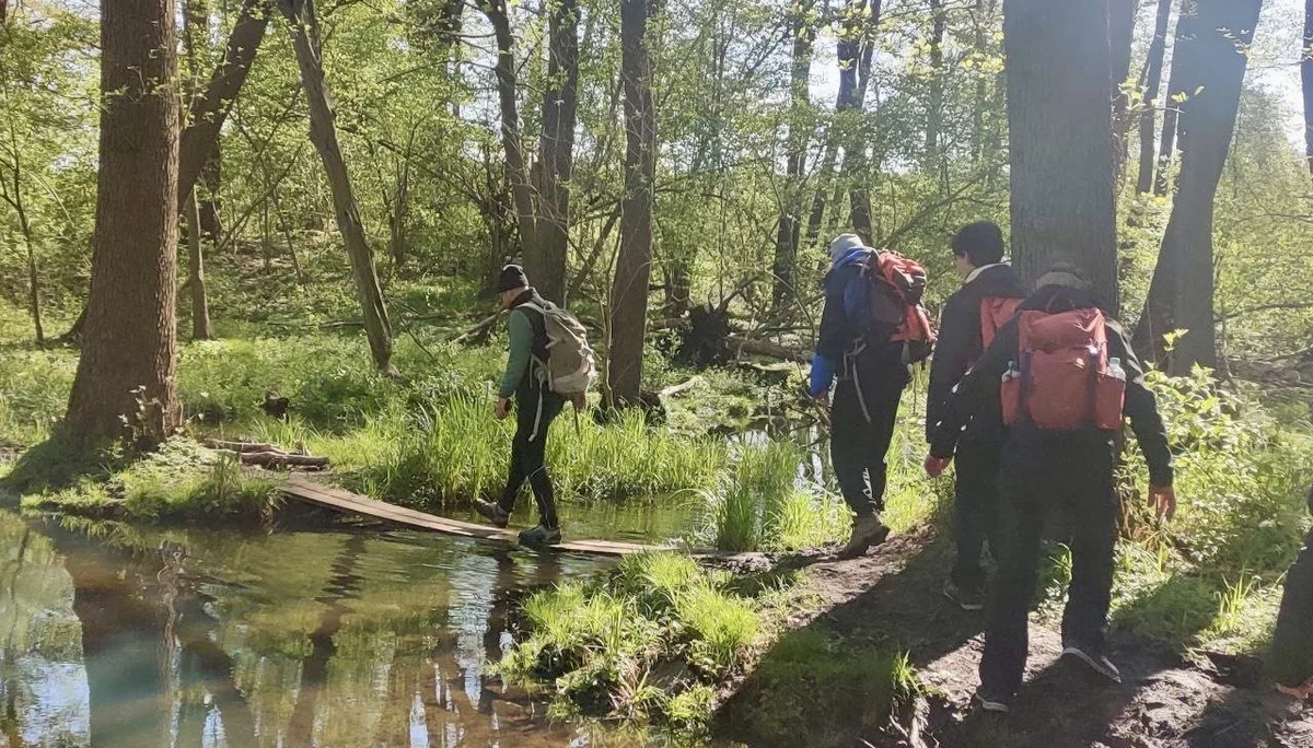 Im märkischen Bergwanderwald | © Thilo Kunze
