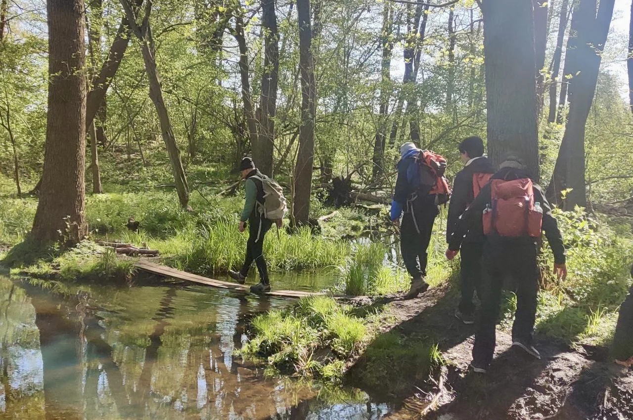 Im märkischen Bergwanderwald | © Thilo Kunze