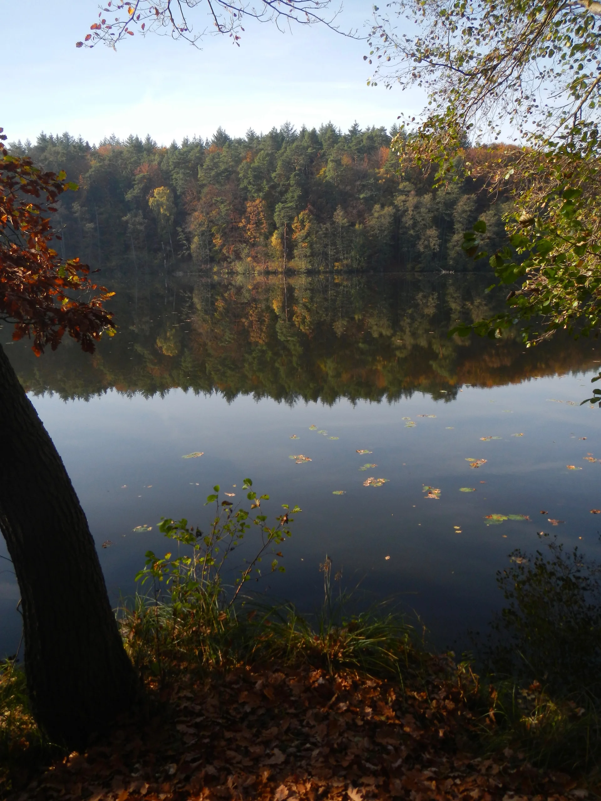 Schlaubetal | © Axel Hübner