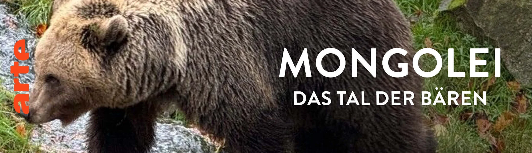 Mongolei – Das Tal der Bären | © Arte