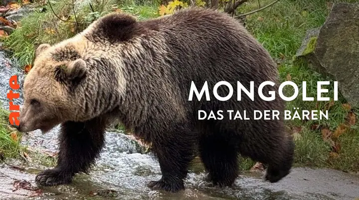Mongolei – Das Tal der Bären | © Arte