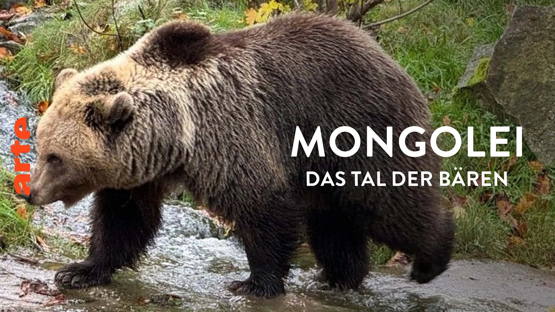 Mongolei – Das Tal der Bären | © Arte