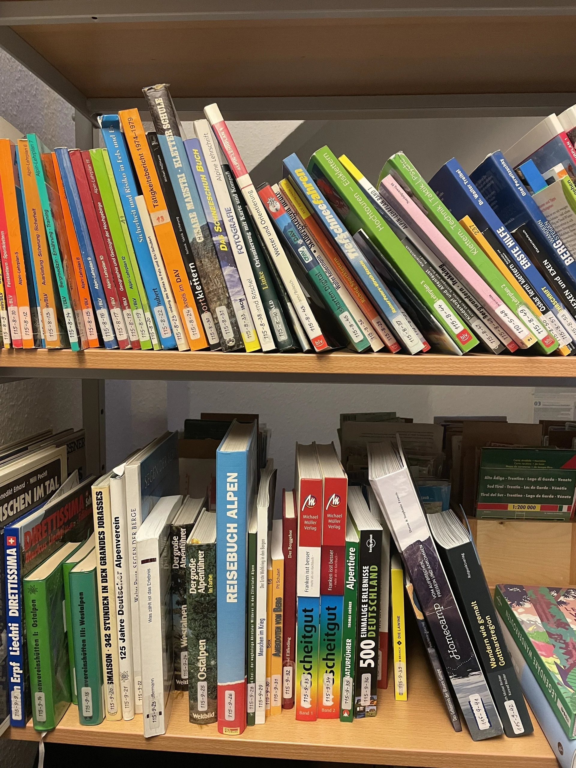 Bücher im Regal | © Hannah Paranaitis