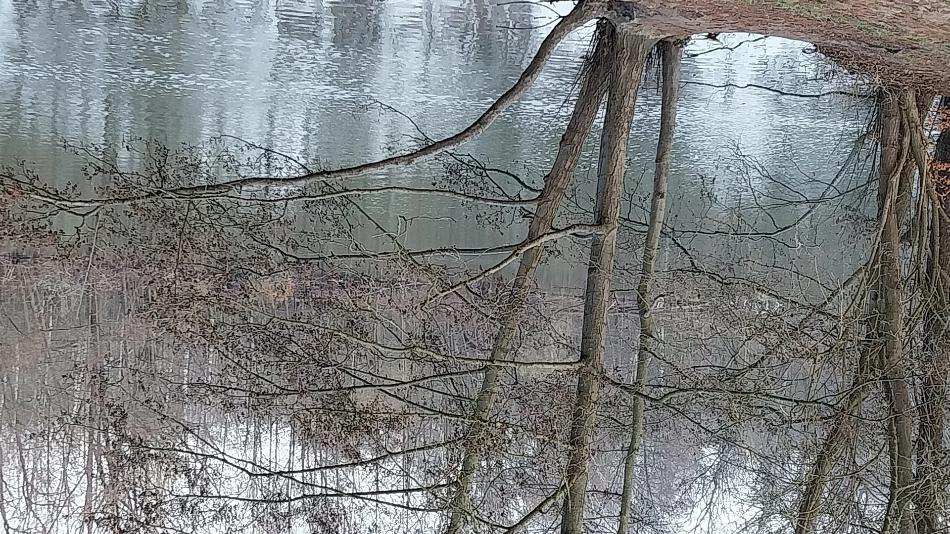 Teufelssee | © Gabriele Wrede