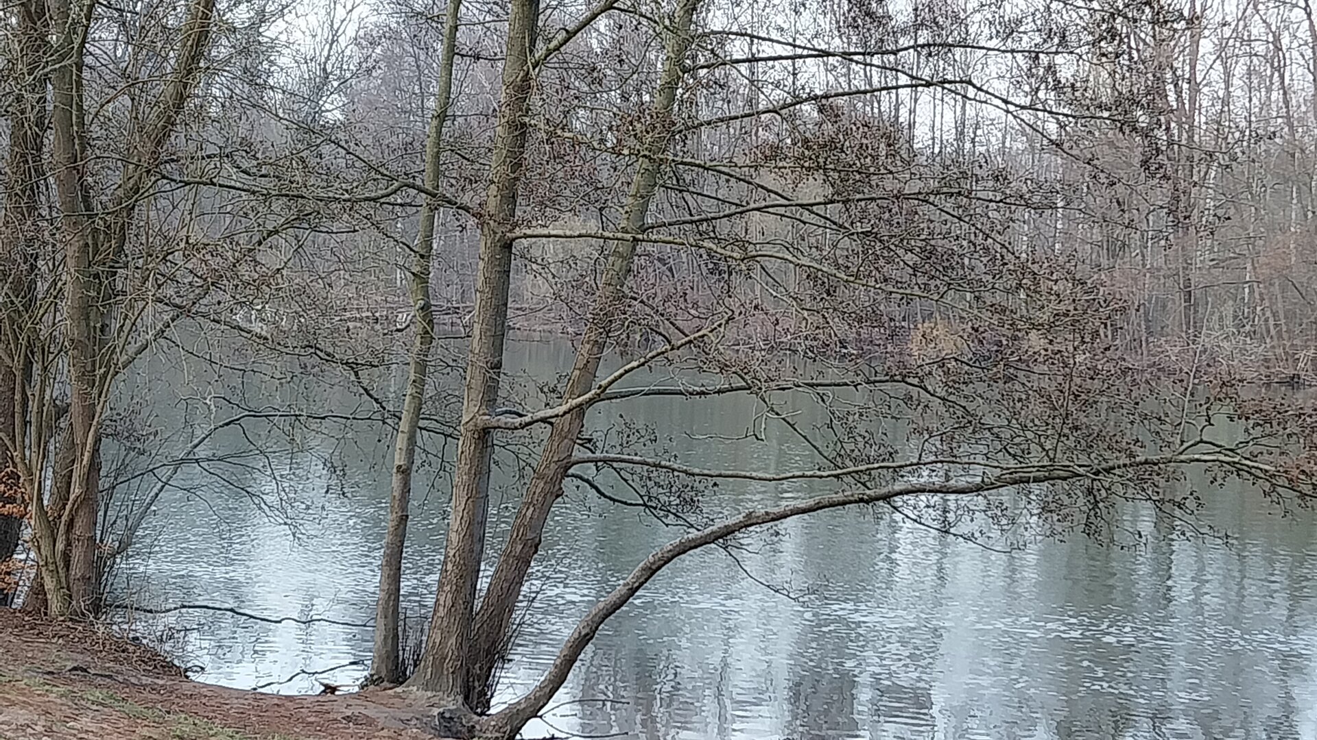 Teufelssee | © Gabriele Wrede