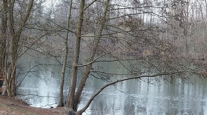 Teufelssee | © Gabriele Wrede