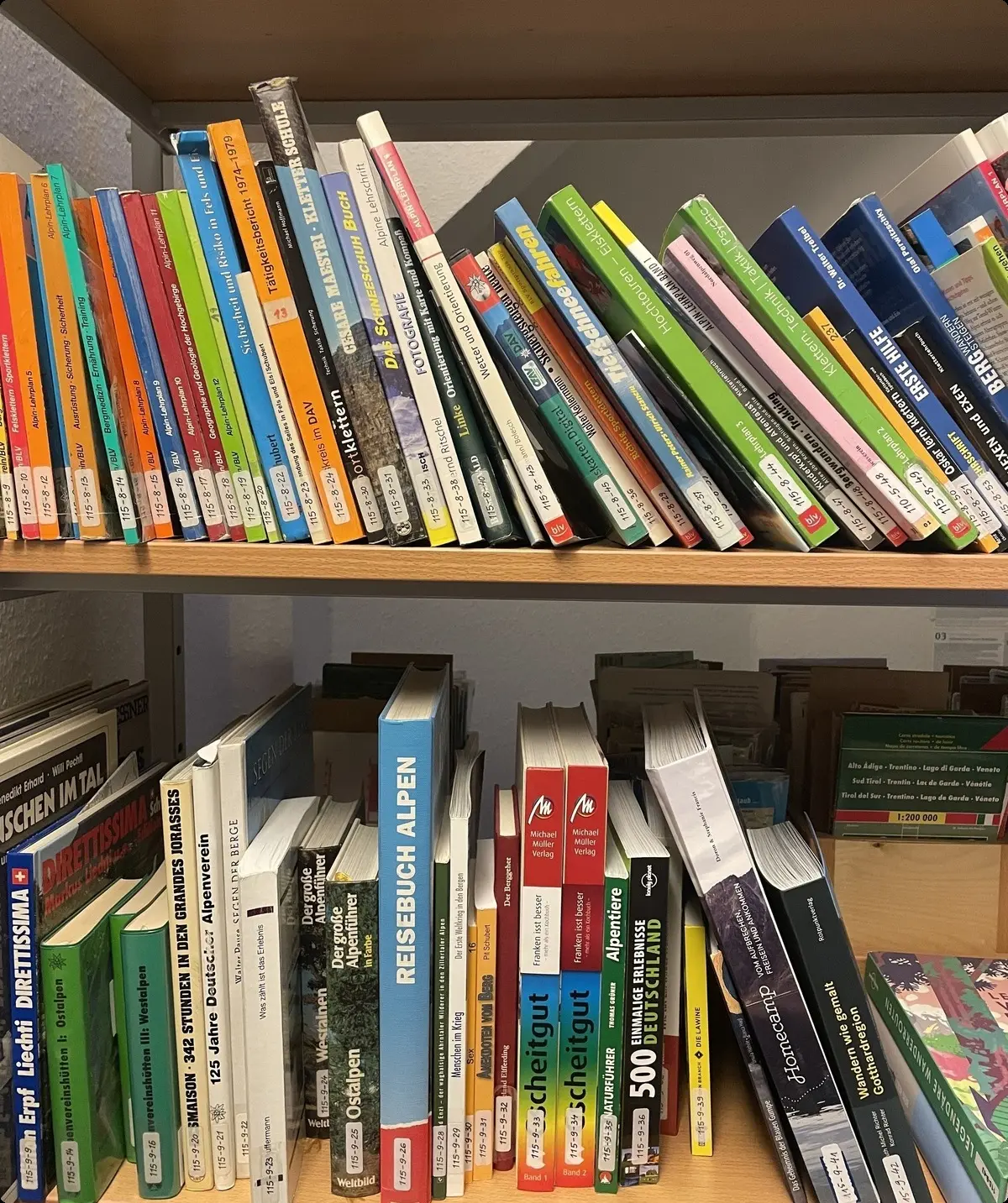 Bücher im Regal | © Hannah Paranaitis