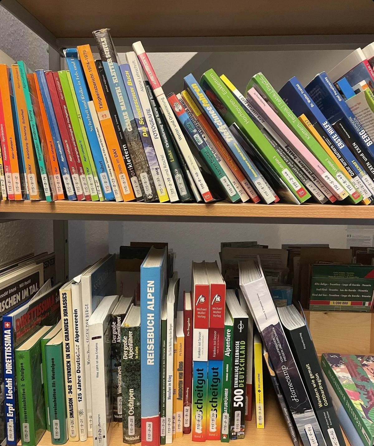 Bücher im Regal | © Hannah Paranaitis