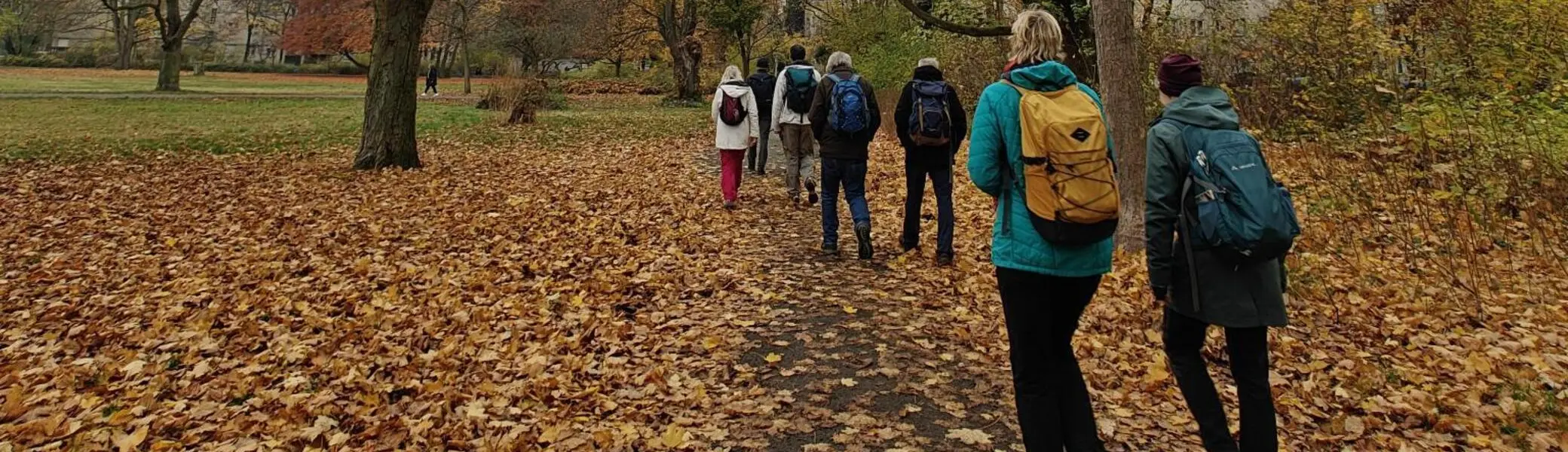 Herbstliche Wanderung in Berlin | © Diana Kunze, AlpinClub Berlin