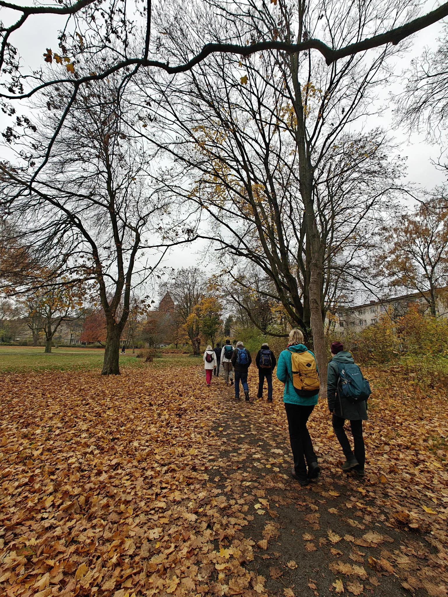 Herbstliche Wanderung in Berlin | © Diana Kunze, AlpinClub Berlin